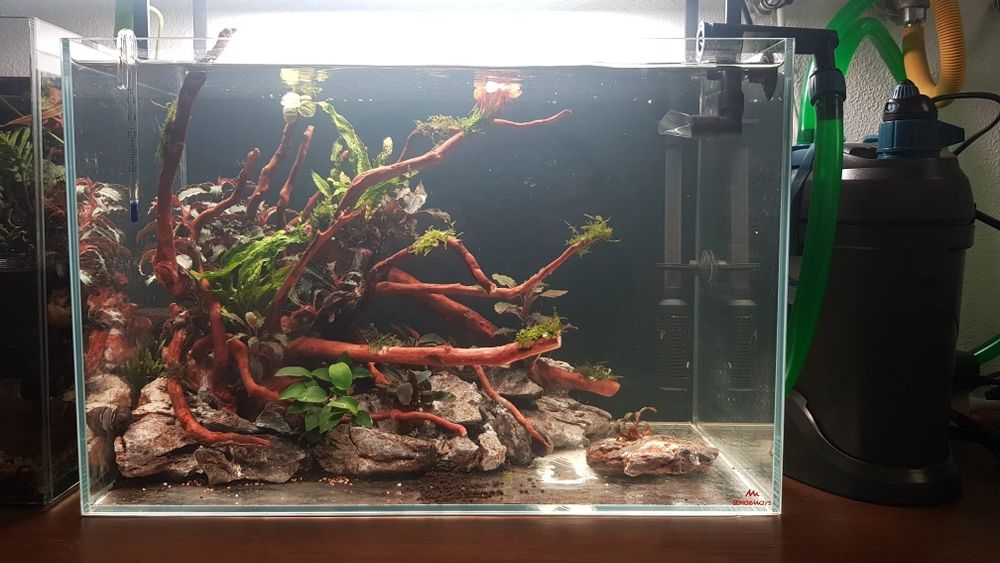 Aquario stridways de 45cm 34L com layout