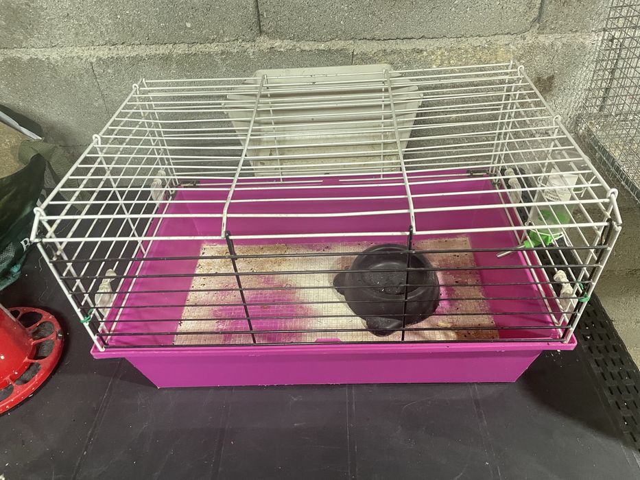 Vendo gaiola para porquinho da india