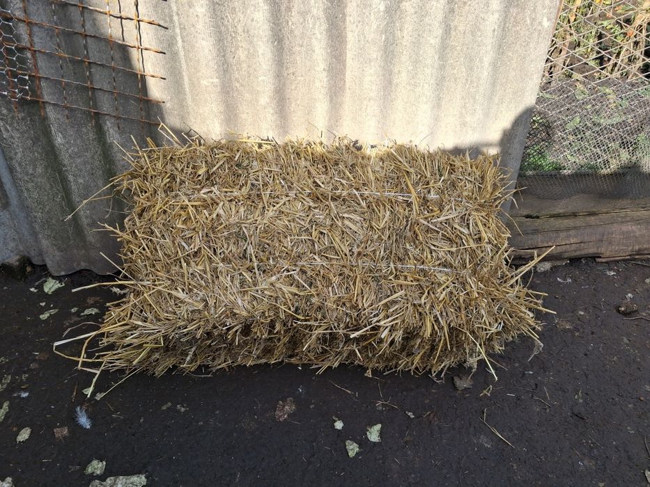 Тюки соломи пшеничної