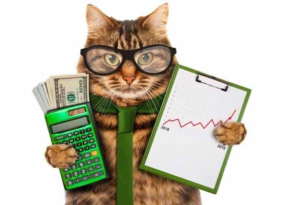 Частный займ без залога, гроші в борг, деньги в долг, кредит, позика