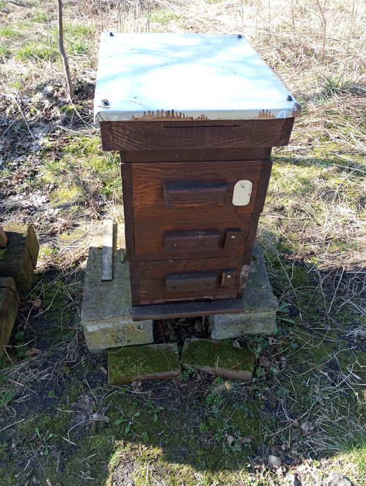 Rodziny pszczele na ramce 1/2 dadant, odkłady