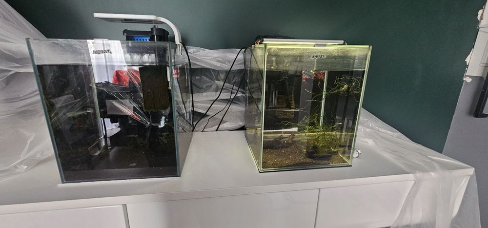 Zestaw 2 akwaria Aquael Shrimp set 30 l
