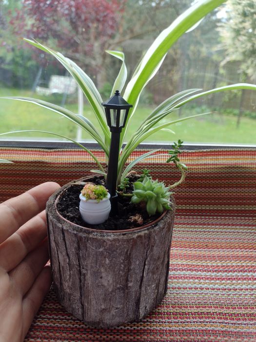 Квіткові композиції