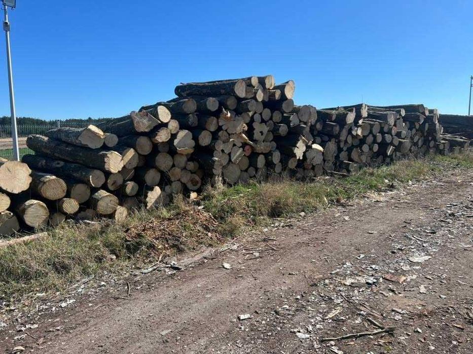 Drewno opalowe w wałkach i rąbane