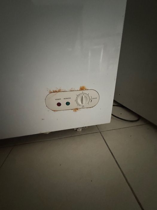 Arca congeladora Jocel