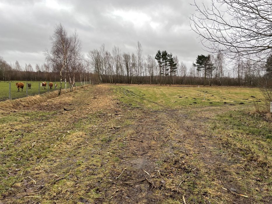 Działka nad morzem - Więcej