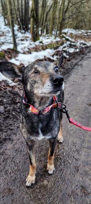 Mała Małgosia bez oczka szuka domu