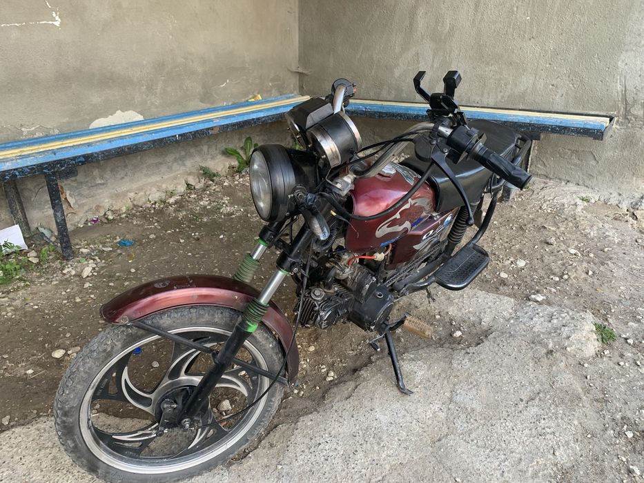 Альфа мустанг 2020