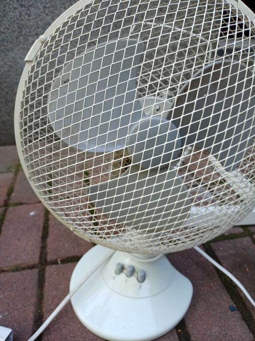 Wentylatory stojące 2 duże i 1 mały.