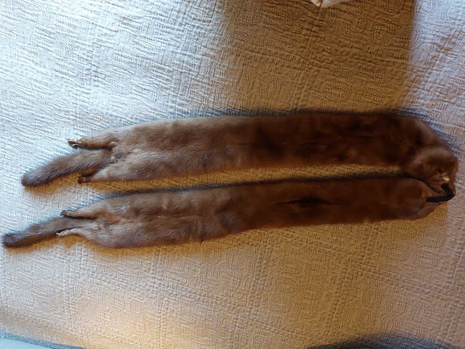 Estola de raposa muito bela