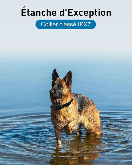 Тренувальний нашийник ABBIDOT - дальність дії 1000 м