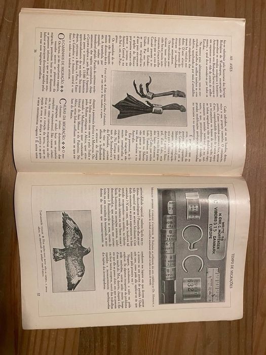 As Aves - Enciclopédia pela Imagem (portes grátis)