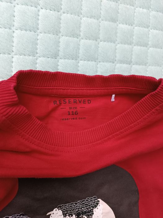 Koszulki z długim rękawem, t-shirt, r.116, Zara i Reserved