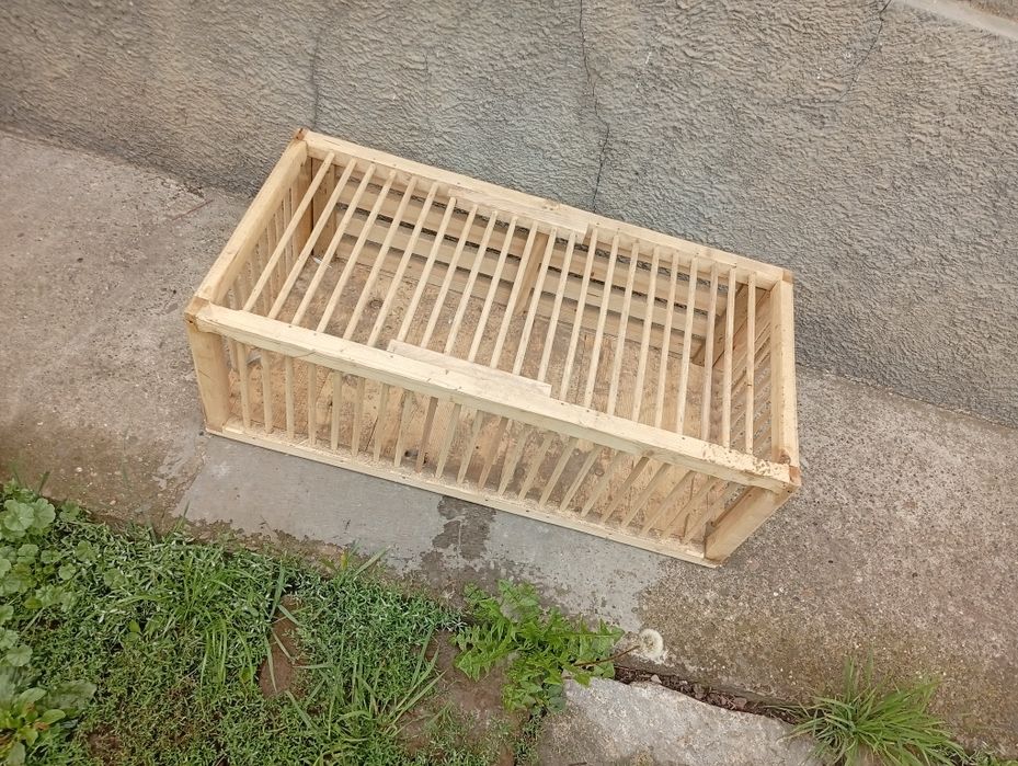 Вироби для голубів