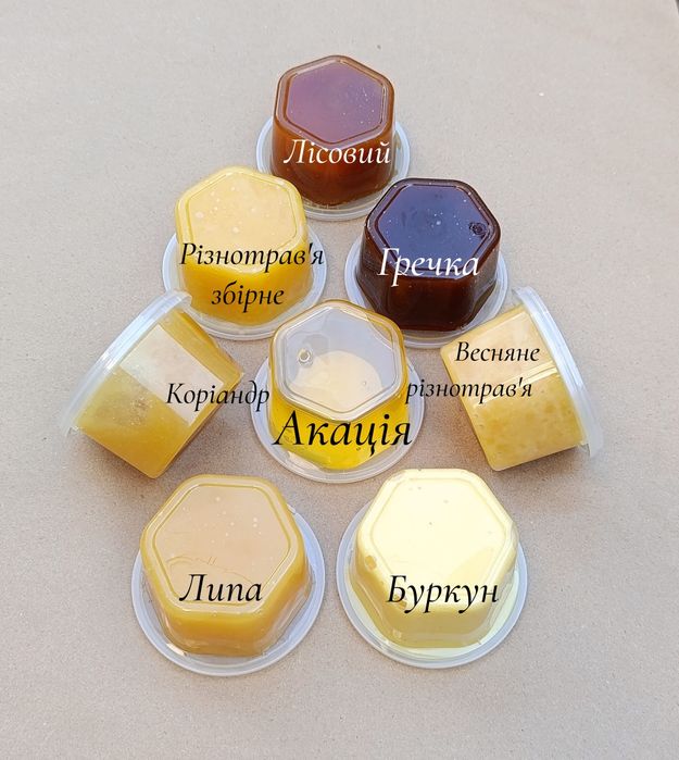 Мед 2025. Свіжий мед. Донник. Акація. Коріандр. Гречка. Липа. Забрус