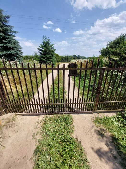 Na sprzedaż siedlisko położone w gminie Mszczonów, zaledwie 55 km od Warszawy – 1 h drogi. Działka o pow. 3124 m² j – pohled 4