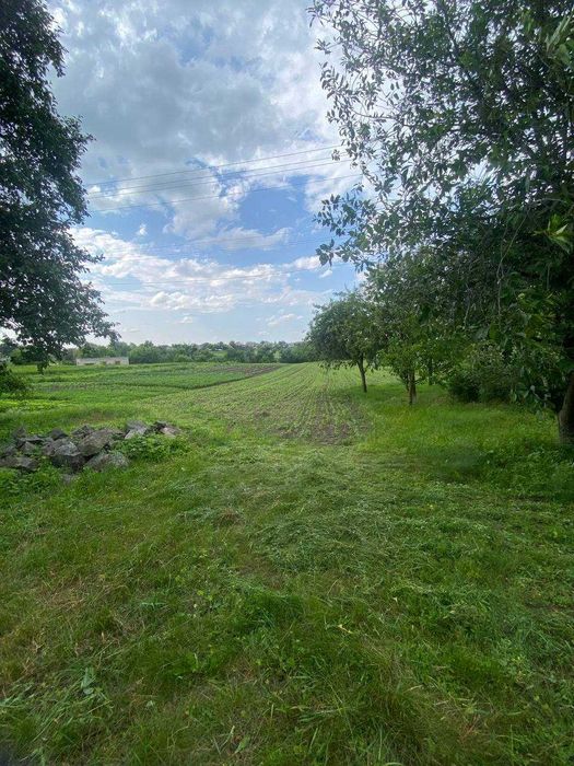 Продам земельну ділянку в селі Острів Білоцерківський район