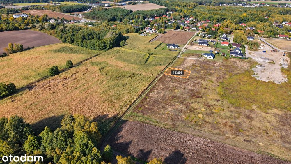 Działka Wilcze / Niwy gm. Osielsko, objęta MPZP - Widok 2