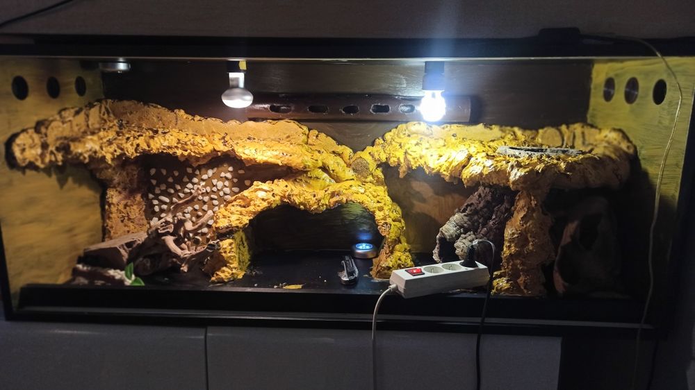 Terrarium duże, ładne plus gadzety