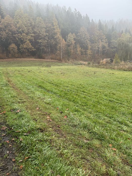 Działka budowlana 9 arów