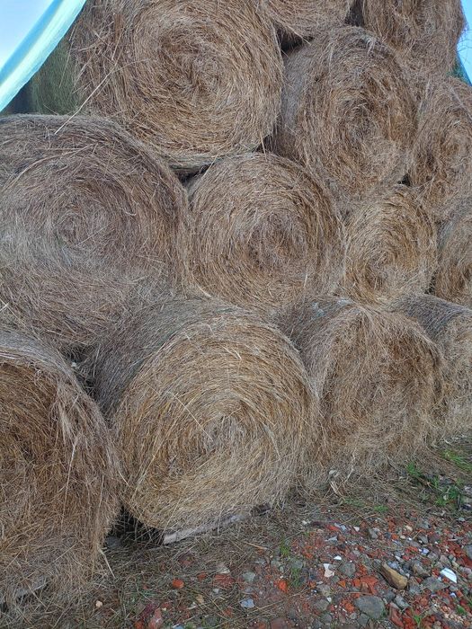 Siano    sianokiszonka transort