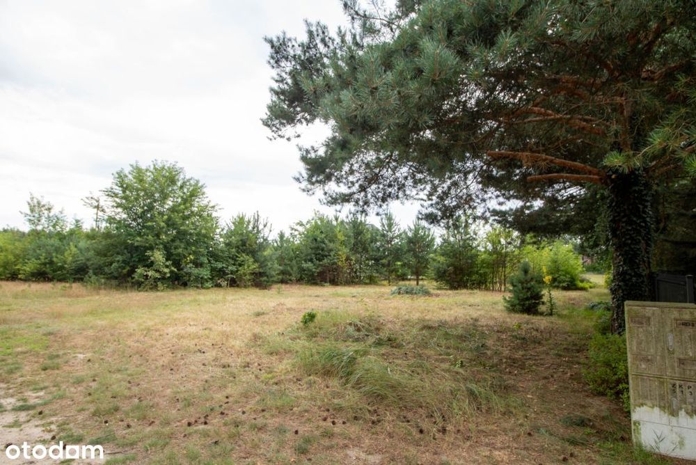 Działka budowlana Myślina 911 m² - View 5