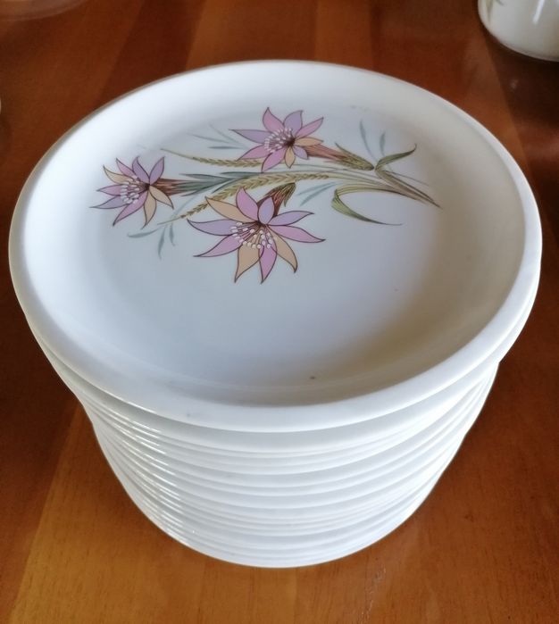 SPAL Dinner Service423490115087912962