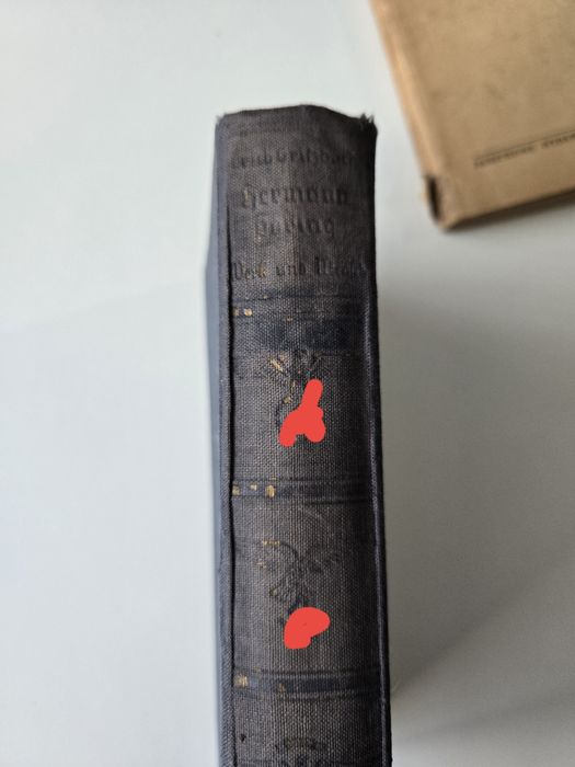 Biografia Hermann Göring Werk und Mensch