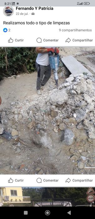 Faço tudo tipo de limpeza entulho, jardins, e terrenos...