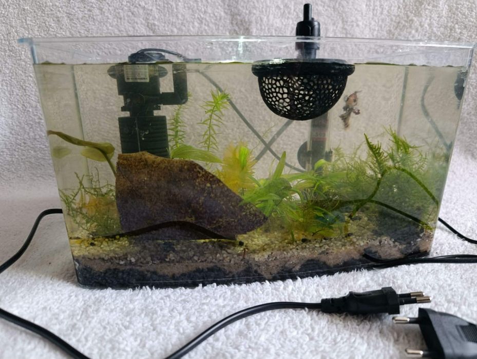 Akwarium z wyposażeniem