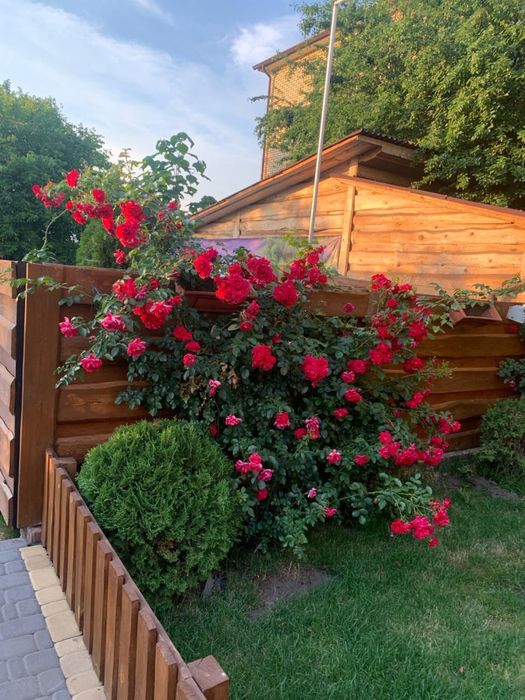 . Будинок по добово. Відпочинок біля басейну погодинно