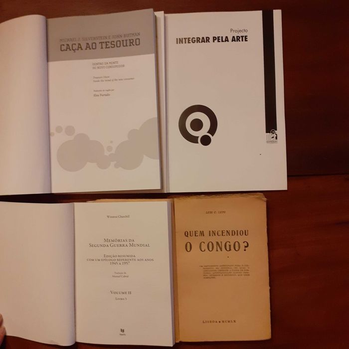 Quem Incendiou O Congo?, Projecto Integrar Pela Arte e outros
