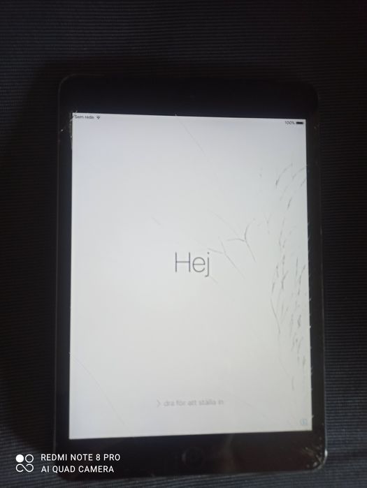 iPad 2 e iPad mini 2012