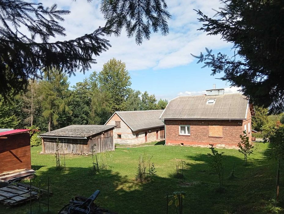 Dom – Malawa - Więcej