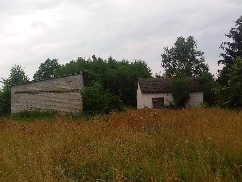 Zdjęcie 2
