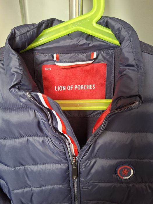 Casaco Lion of Porches