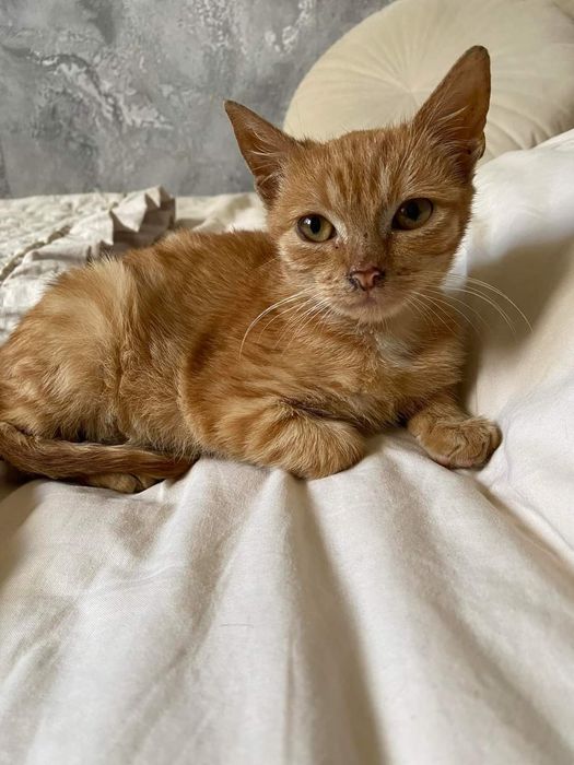 Mimi i Cynamonek, 3-4 miesiące