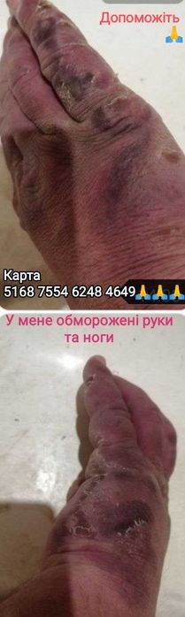 Благаю допоможіть! Шукаю житло будинок дачу Корм котикам собачкам