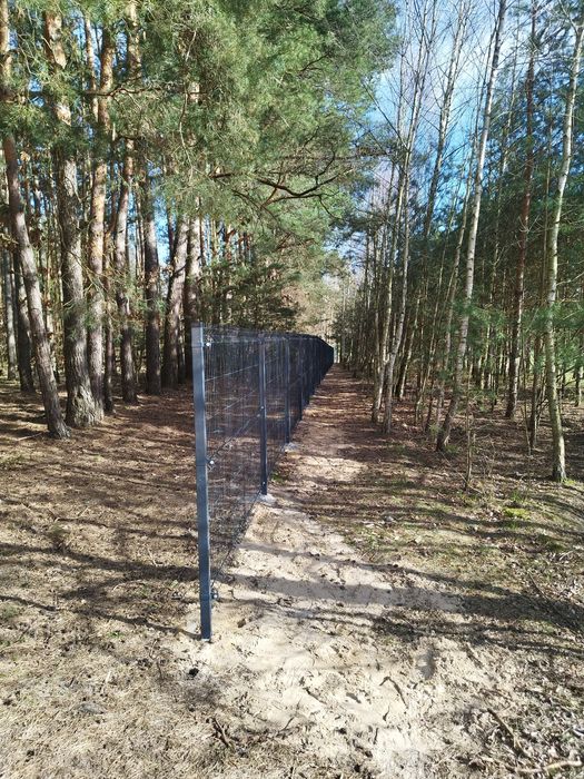 Usługi koparkoładowarką, koparka obrotową, minikoparką, przyłącza wod-