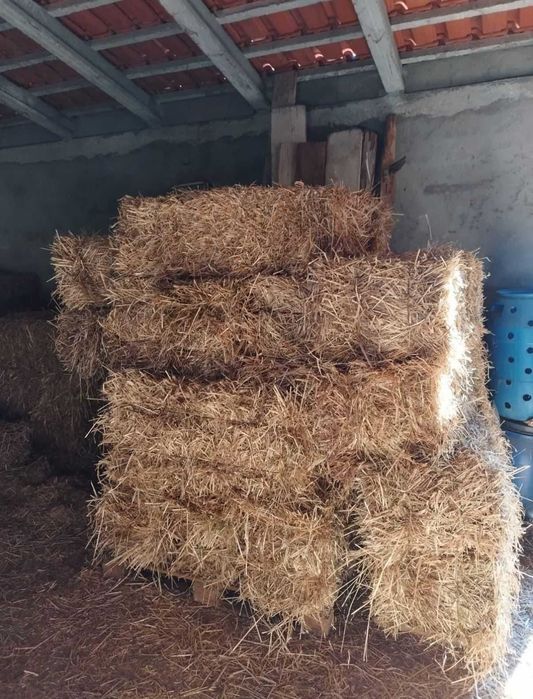 Vendo Fardos Pequenos de Feno