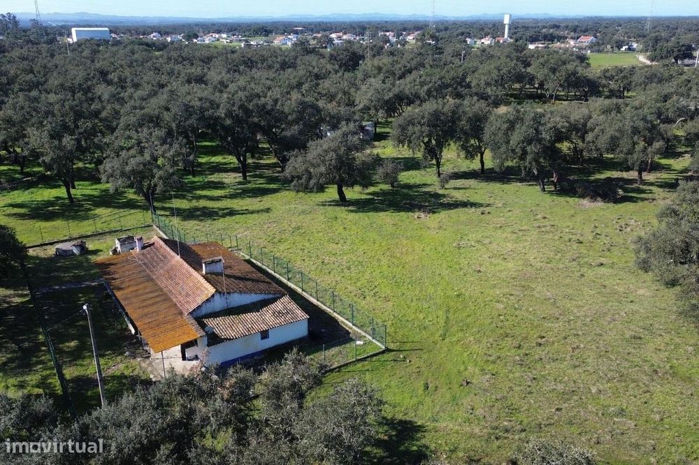 Refúgio Rural em Foros do Locário – 12,55 ha com Habitação e...