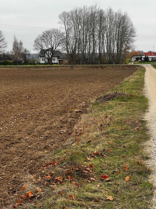 Gospodarstwo rolne 8ha!!! Harasimowicze  (Dąbrowa Białostocka)