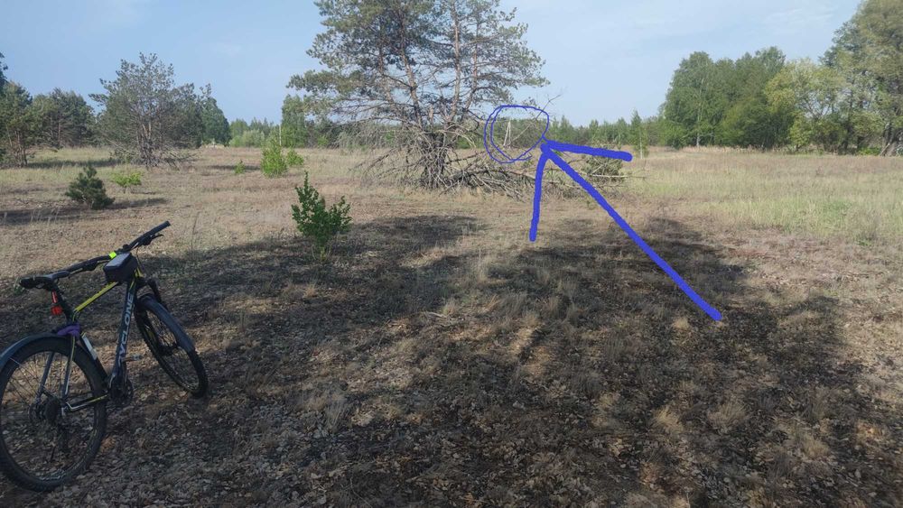 участок 11 соток, село Дружня