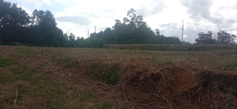 Terreno para construção em Cristelo-covo