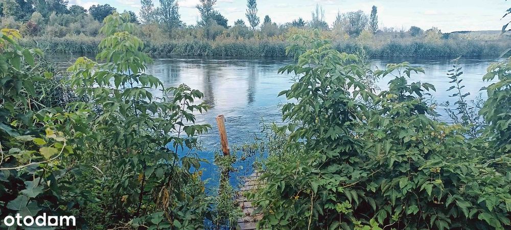 Sprzedam dużą, malowniczą działkę z domkiem Brzeźce k. Białobrzegów