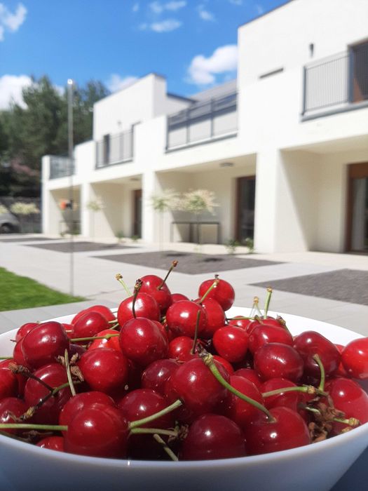 domki i apartamenty nad jeziorem w Skorzęcinie - noclegi
