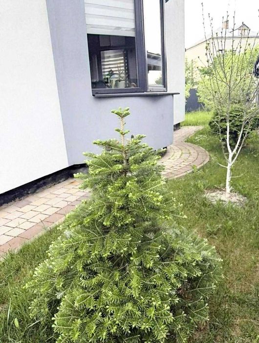 Продається житловий будинок