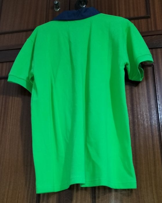 Pólo de Homem em Algodão- cor verde