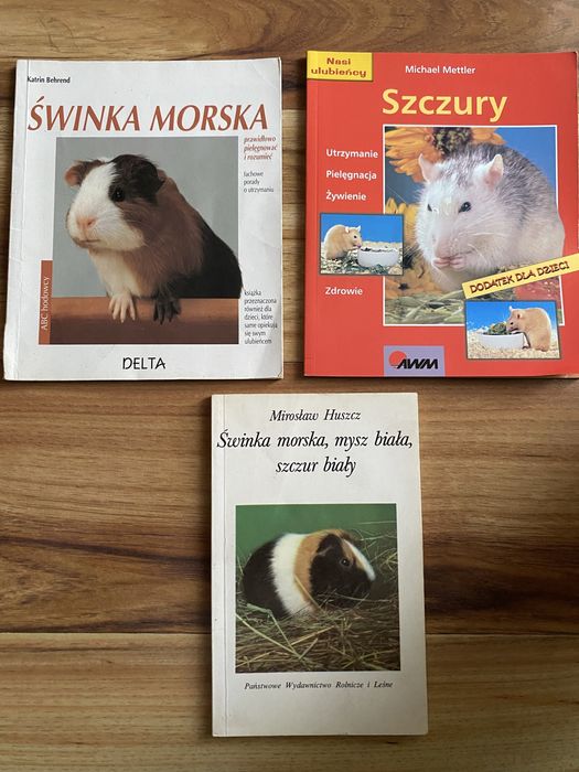 Mirosław Huszcz.  Świnka morska mysz biała szczur biały