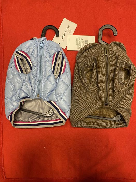 Джек Рассел  цуцики